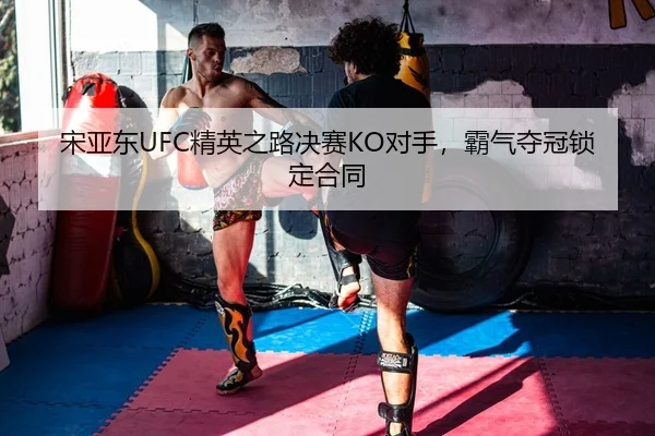 song-ya-dong-jing-ying-zhi-lu-jue-sai-dui-shou-ba-qi-duo-guan-suo-ding-he-tong-2-226.jpg